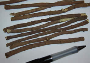 Glycyrrhiza uralensis/glabra: liquorice spice root / sticks